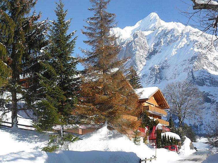 Firstsunne Apartment Grindelwald Exterior photo